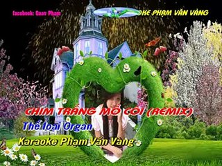 Chim trắng mồ côi