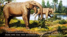 Worlds 10 Weirdest Prehistoric Animals