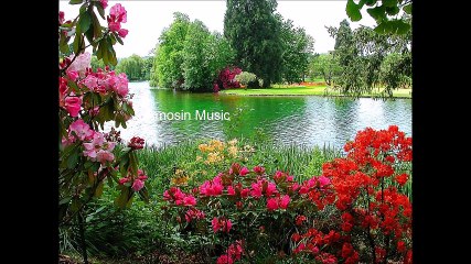 Shawali aw Setara - Baz im shab hawasi roi