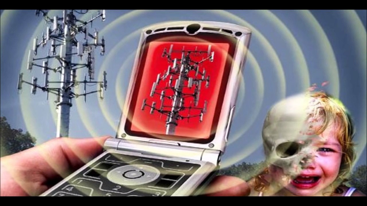 Die Reale Welt [AUFWACHEN]