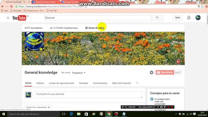 Cómo comprobar los ingresos brutos en su canal de youtube