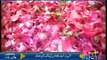 Flowers Demand Increases on Shab e Barat