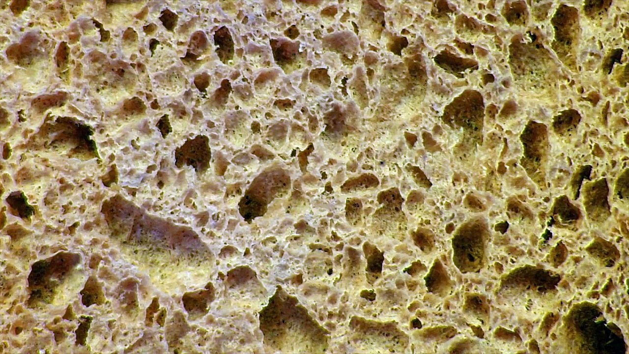 Une assiette qui avale le gras et les calories de votre repas ! Parfait pour votre régime