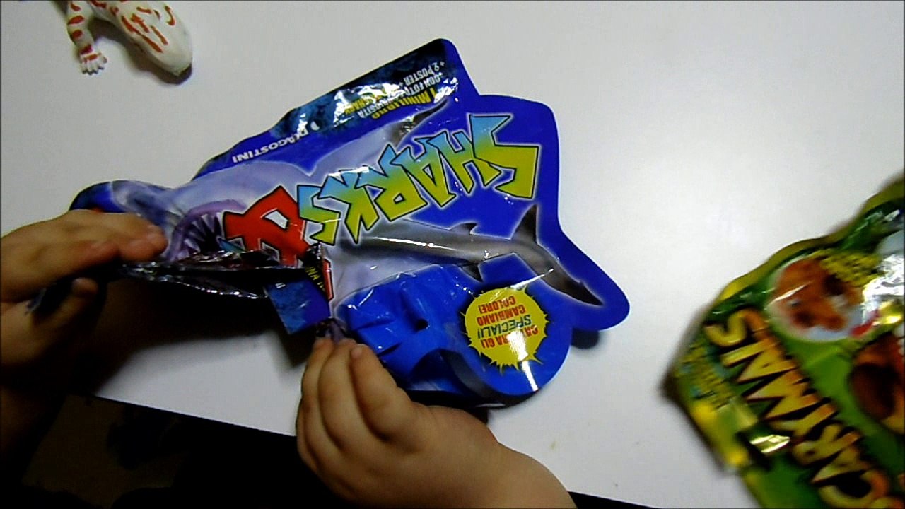 shark and co. blind bags