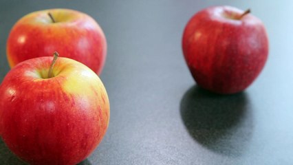 Julien Randoulet - Comment faire du jus de pomme