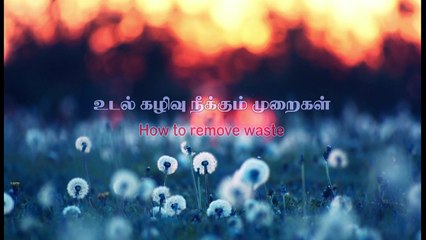 Anatomic Therapy 2016 DVD-1 - How To Remove Waste