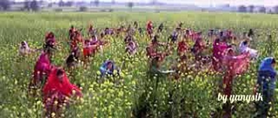 India in movies ShahRukh Khan - 2