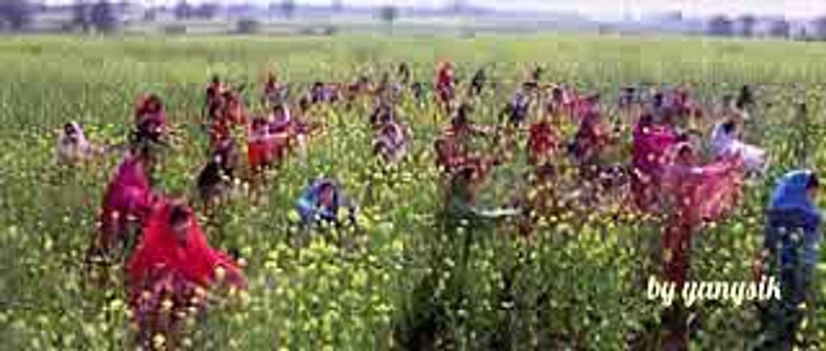 India in movies ShahRukh Khan - 2