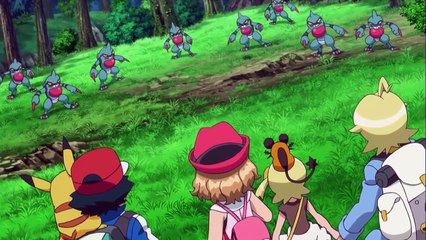 Wild Toxicroak! | Pokemon XYZ | Cartoon Network