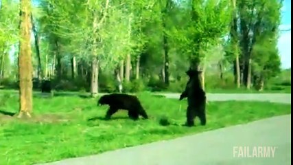 Funniest Animal Fails Compilation -- FailArmy