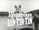 The Adventures of Rin Tin Tin @ 143 The Foot Soldier