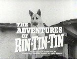 The Adventures of Rin Tin Tin @ 143 The Foot Soldier