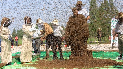 Man Covers Himself in 637,000 Bees - New Guinness World Record