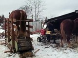 Horse Powered Treadmill Log Splitter