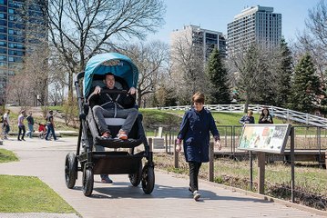 Stroller for Parents - Dream Comes True for Adults