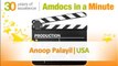 Amdocs' 30th anniversary celebrations - Anoop Palayil, USA - 28 Feb, 2012