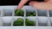 5 Ways to Use Your Ice Cube Tray