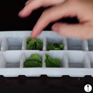 5 Ways to Use Your Ice Cube Tray