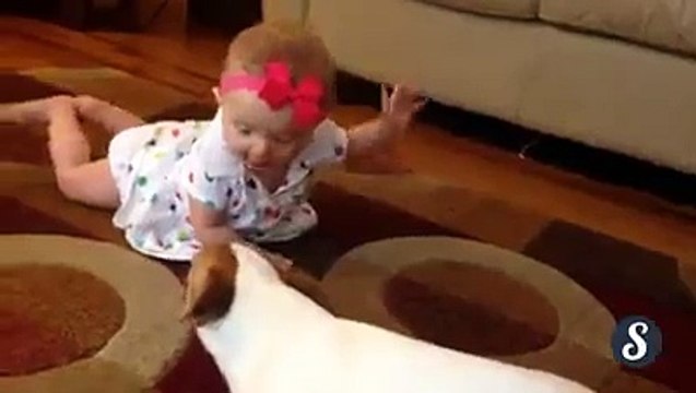 Ha Ha Dog Copying Funny Baby Acts-Funny Whatsapp Video 2016 | WhatsApp Video Funny 2016 | Funny Fails 2016 | Viral Video