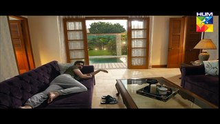 Mann Mayal Episode 17 HD Full Hum TV Drama 16 May 2016