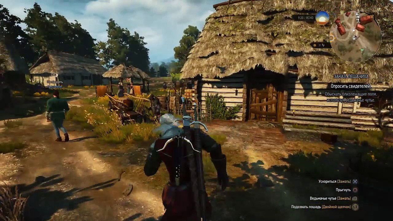Witcher 3 (11)