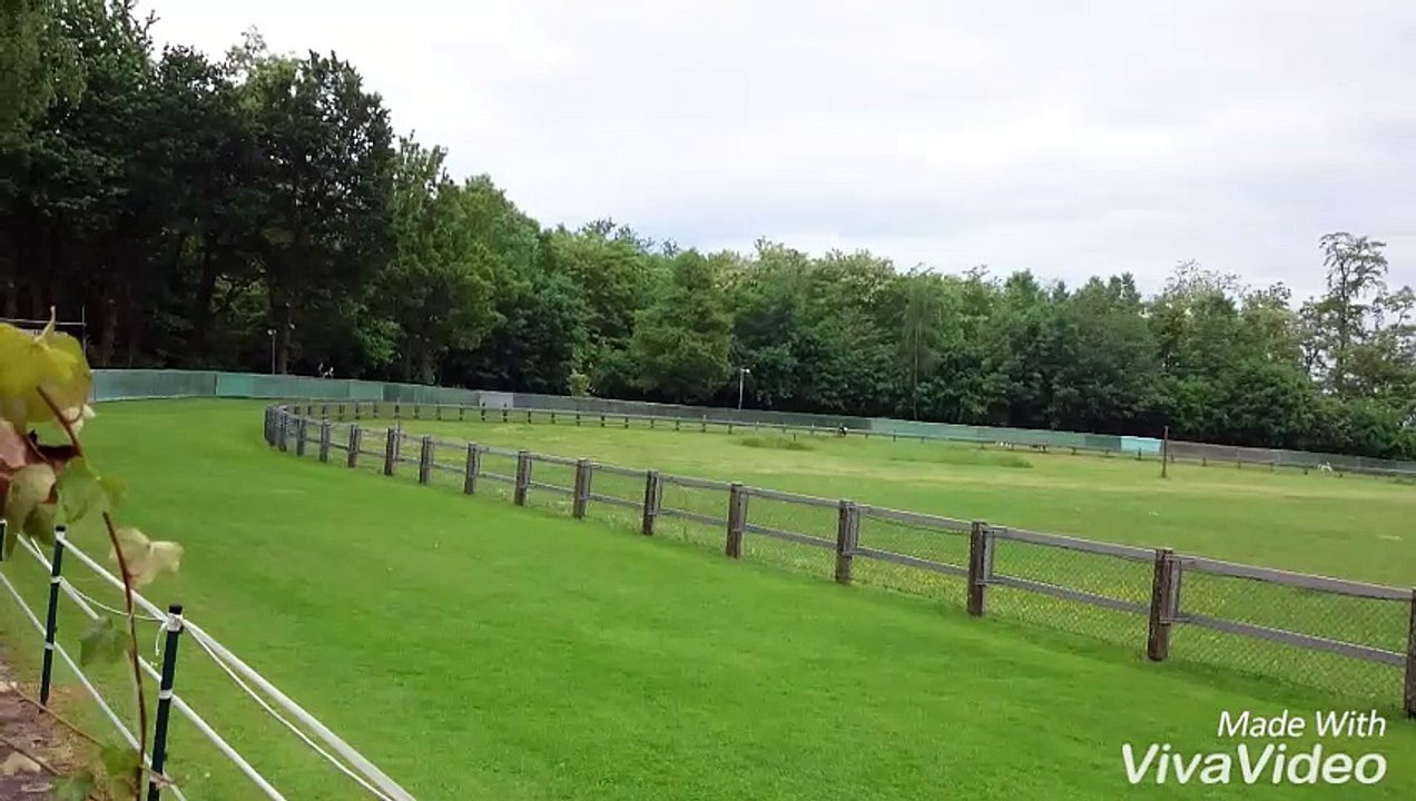 Jette Windhundrennbahn Köln