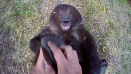 GoPro- Man and Grizzly Bear - Adventures with Bella