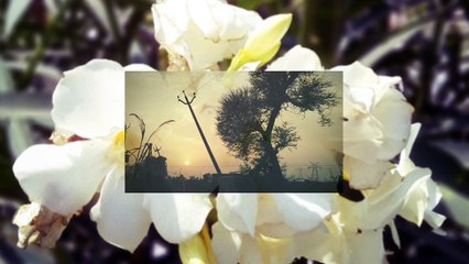 Smartphone Photography Exhibition Part-I