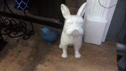 z57 - decorations around the fireplace