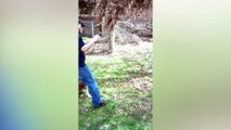 Dog Refuses To Let Go Of Tree