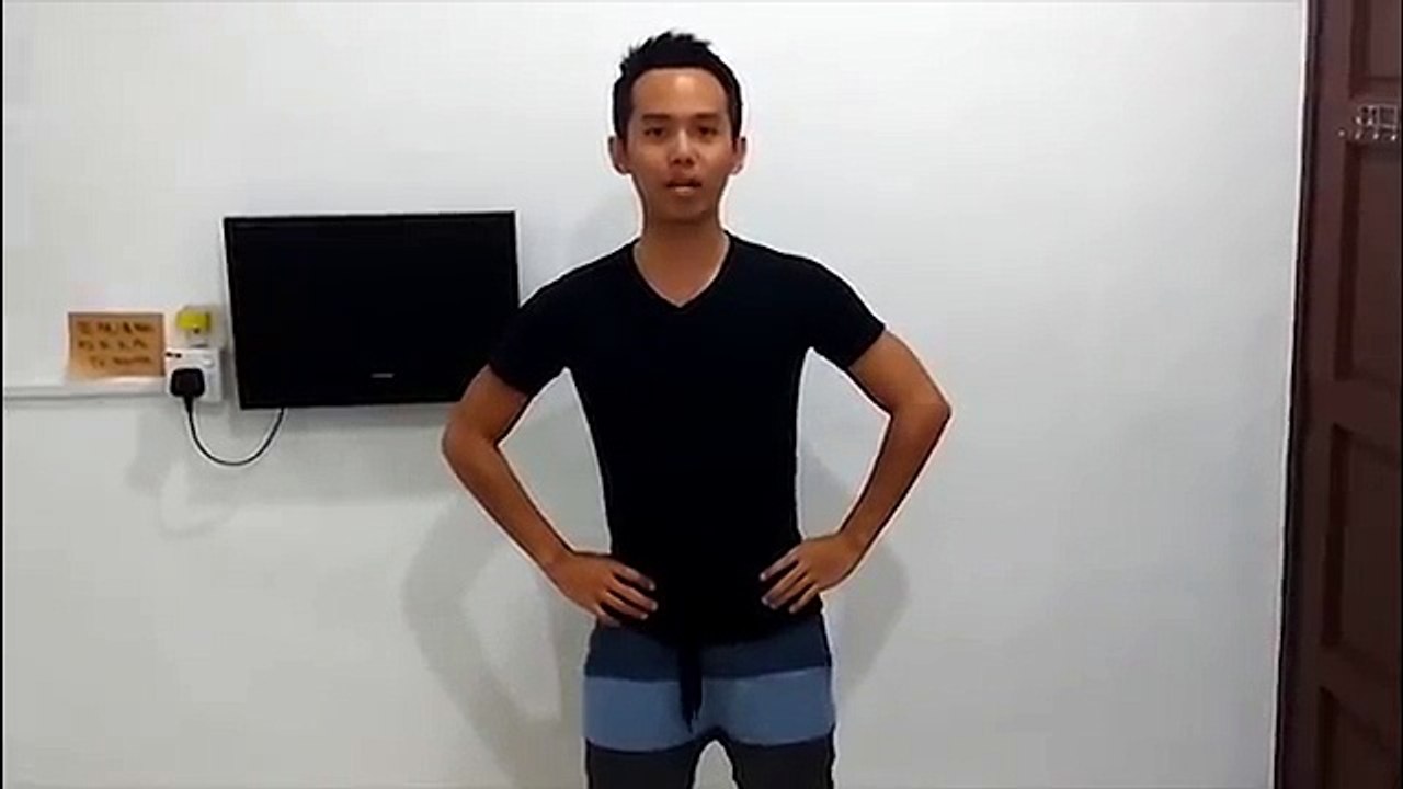 Chicken dance video 2