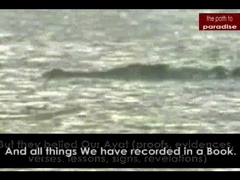 Surat An-Naba Abdul Hani Quran Allah Islam Allah Iman