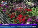 Dnevnik, 22. maj 2016. (RTV Bor)
