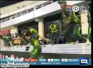 Dunya News - Pakistan under 19 cricket team winning moment