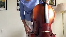 Sarabande for unaccompanied cello Suite #1 in G major by J.S. Bach