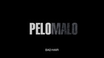 PELO MALO (BAD HAIR)  (2013) Trailer - VOST-ENG