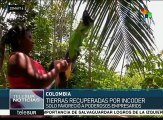 Colombia: Corte Constitucional  regresa tierras a labriegos despojados