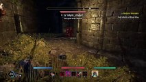 The Elder Scrolls Online: Tamriel Unlimited Werewolf pvp imperial sewers