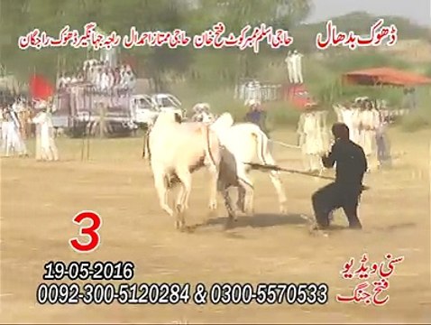 T.A.M.A.S.H.A Dhok Badhal