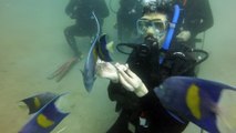 Scuba Diving Training