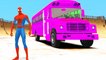 Spiderman Wheels On The Cars & Bus personnalisés McQueen w / enfants Comptine avec Action