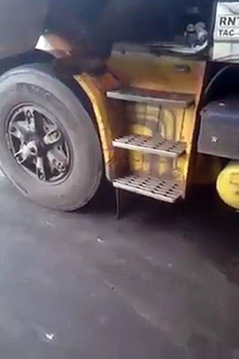 transporte de cobra perigosa