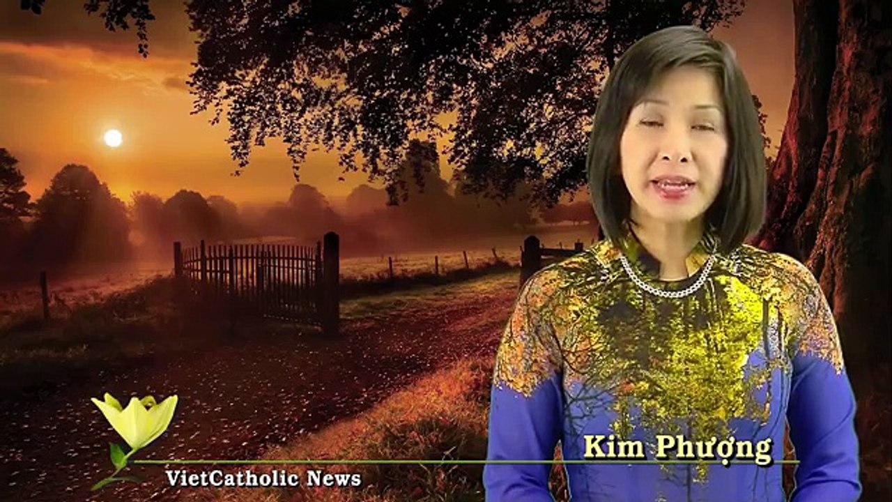 Suy niệm với ĐTC Phanxicô - 21_27.05.2015 - Câu chuyện bên hồ Tibêria