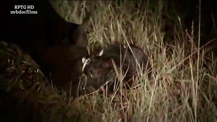 We Call This Home - 3 Years Around the World Travel ACBD (7)