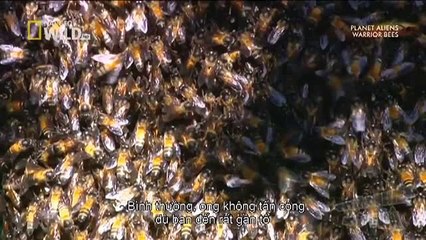 We Call This Home - 3 Years Around the World Travel ACBD (18)