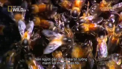 We Call This Home - 3 Years Around the World Travel ACBD (25)