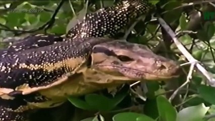 We Call This Home - 3 Years Around the World Travel ACBD (28)