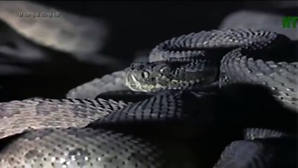 We Call This Home - 3 Years Around the World Travel ACBD (32)