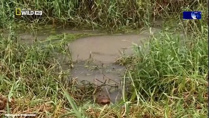 We Call This Home - 3 Years Around the World Travel ACBD (40)