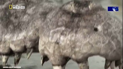 We Call This Home - 3 Years Around the World Travel ACBD (43)